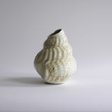 Shell Vase