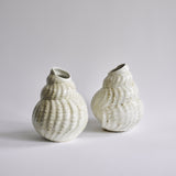 Shell Vase