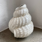 Shell Vase