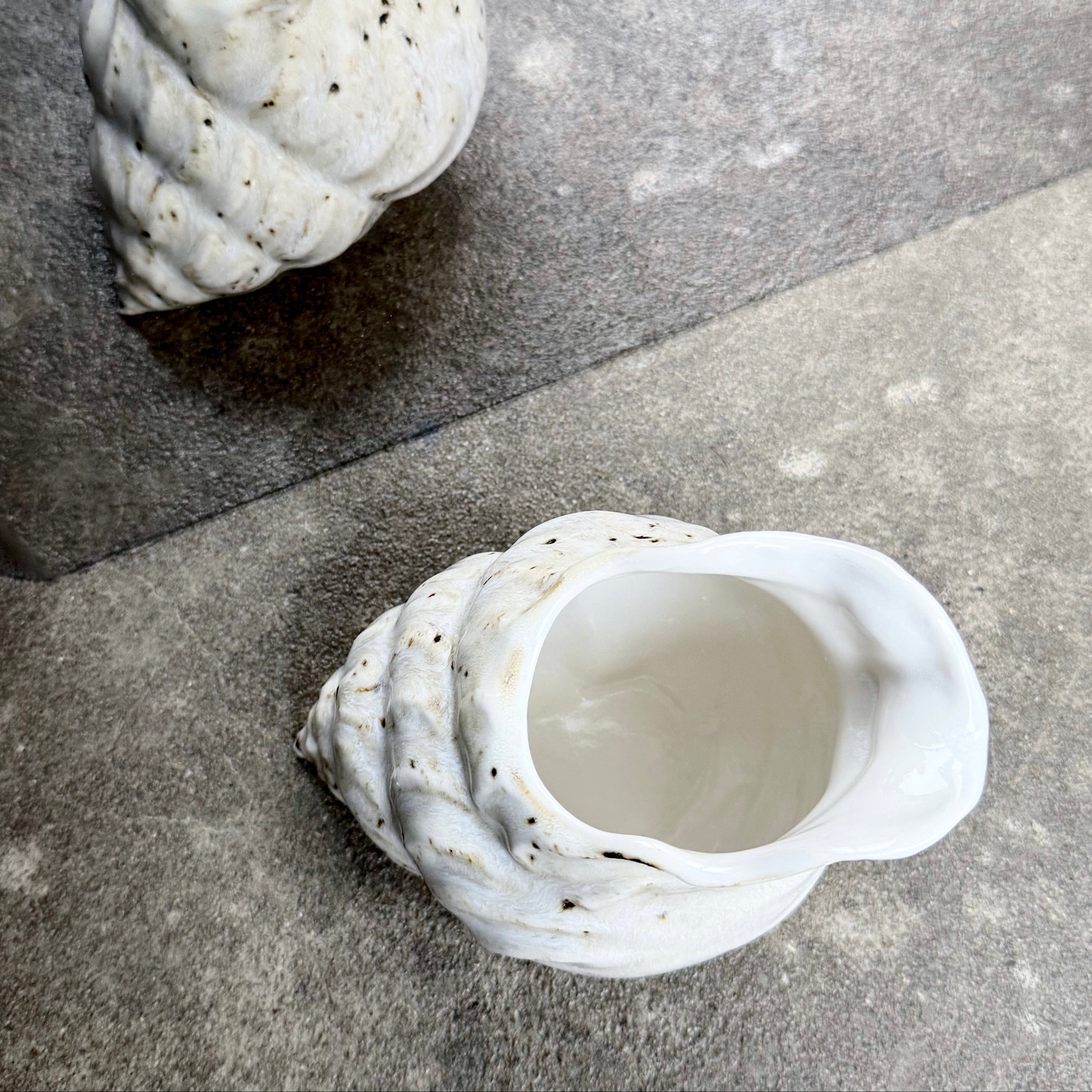 Nyhed. Konkylie Kande. Dans design og håndværk. Studio i Aarhus. Jægergårdsgade. Mælkekande. porcelæn. Konkylie . Havterapi