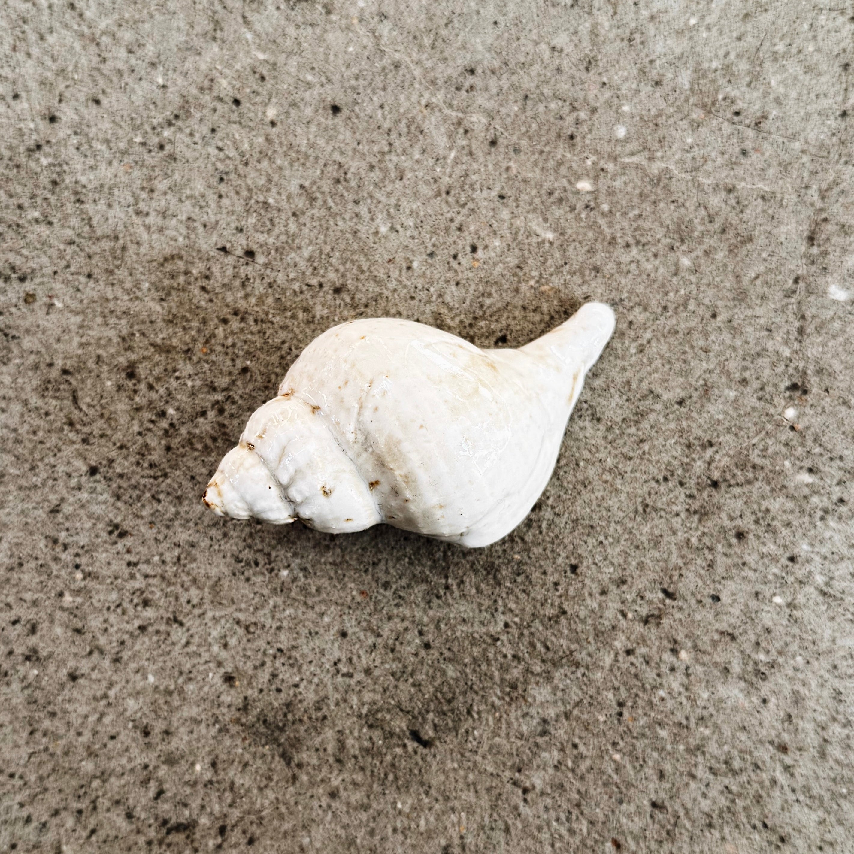 Forår dekoration pynt keramikdesign værtindegave Aarhus Bugt Studio Aarhus Keramik