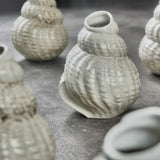 Shell Vase