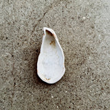 Østers Saltkar / Smykkeskål