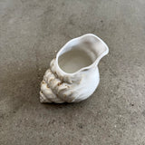 Shell Pitcher - mid-June 2026