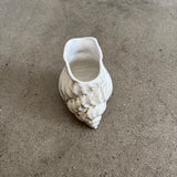 Shell Pitcher - mid-June 2026