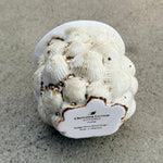 Hjertemusling Kop håndlavet i porcelæn.
Aarhus Bugten. Havterapi og showroom studio i Aarhus