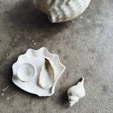 Musling Underkop / Sidetallerken