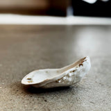 Østers Saltkar / Smykkeskål