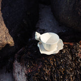 Conch Cup