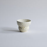 Shell Cup II
