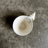 Shell Cup 