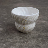 Conch Cup II