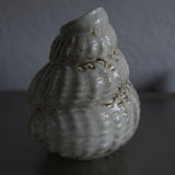 Shell Vase