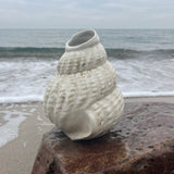 Shell Vase