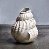 Konkylie Vase
