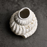 Konkylie Vase