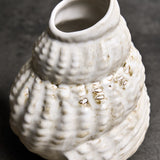 Konkylie Vase