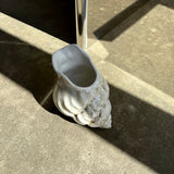 Shell Pitcher - mid-June 2026