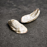 Østers Saltkar / Smykkeskål